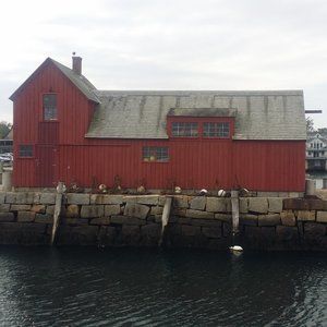 Meet your Posher, Mary